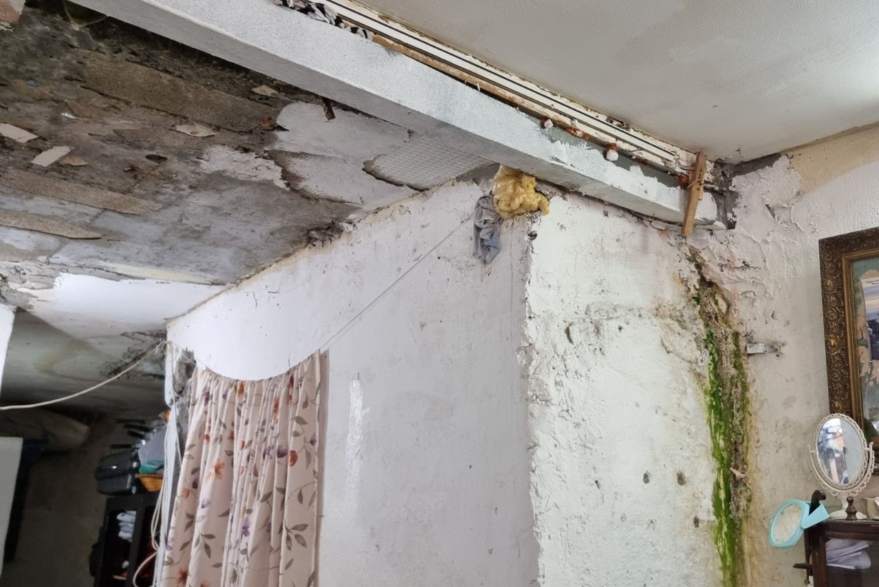 WhatsApp Image 2021-08-13 at 9.56.14 PM.jpeg